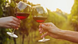Why red wine could be good for your gut 2