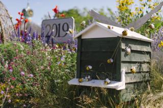 Kingsbridge bee-friendly planting in the town square