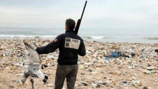 Hunters shoot down seagulls that are attracted by the garbage at the Costa Brava dump, on January 14, 2017 near Beirut"s International Airport