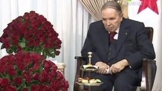 بوتفليقة