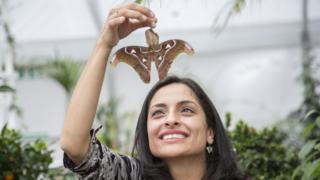 Blanca Huertas descubrió su fascinación por las mariposas cuando era una niña. (Foto: Museo de Historia Natural de Londres).