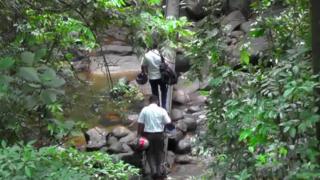 ගිගුරුව රක්ෂිතය