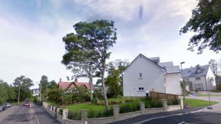 Pitcairn Grove
