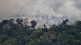 Vista aérea de humo en la Amazonía.