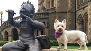 Casper in Dundee