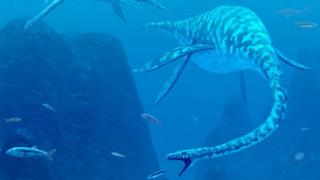 Plesiosaur