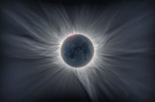 Corona de girasol Caitlin Beldea and Alson Wong