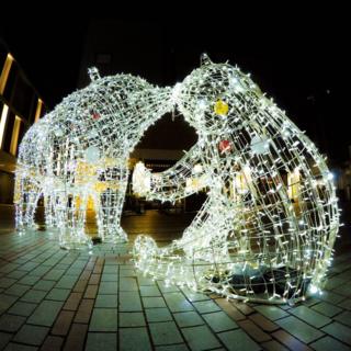 Wire lit Polar bear and cub