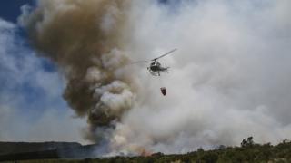 Mount Kenya wildfire: Marijuana farmers blamed - BBC News