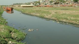 નર્મદાની આસપાસનો વિસ્તાર