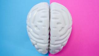 Cerebro de plástico con fondo celeste y magenta.