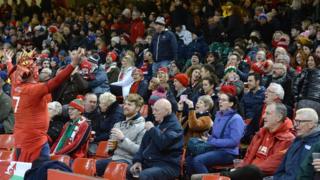 Wales rugby fans