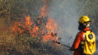 A firefighter attempts to extinguish flames during the dry season in Brasilia, Brazil, on 2 August