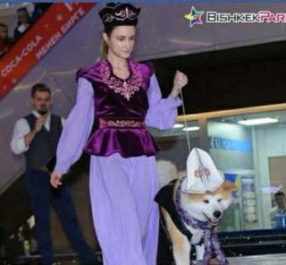 итке калпак кийгизди