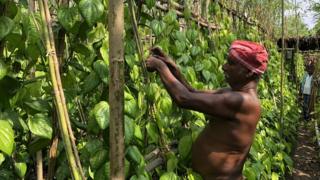 முசிறி பகுதி