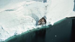 Halley VI Dropping In On The British Antarctic Survey BBC News