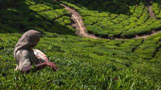 கோப்புப் படம்