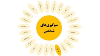 سوگیریهای شناختی: پَسنگری