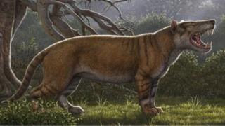 Singa raksasa