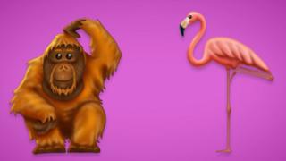 Orangutan and flamingo