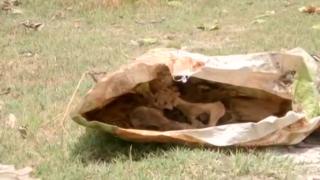 बोरियों में रके नर कंकाल