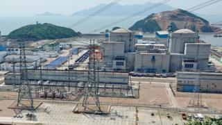 中廣核寧德核電基地的茶園(前)與核電一期項目(8月7日攝)。
