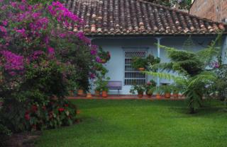 Un jardín con buganvilla y helechos