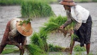 လယ်သမားတွေရဲ့မြေသိမ်းခံရမှု၊ မြေယာပိုင်ဆိုင်မှုပြဿနာအများအပြားရှိနေ