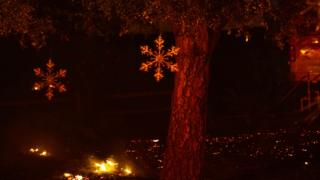 Árboles con adornos navideños en Bonsall, California, donde arde el incendio Lilac