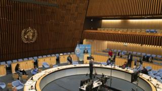 World Health Assembly meeting in Geneva, 18 May 2020