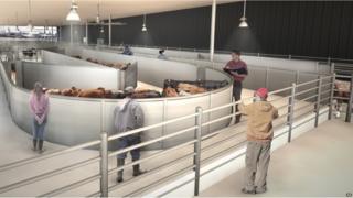 Artist drawing of The ARK Development shows a cattle handling area the new luxury terminal at New York's John F. Kennedy International Airport