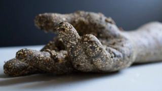 British artist Marco Chiandetti's edible birdseed sculptures are intentionally designed to be transitory