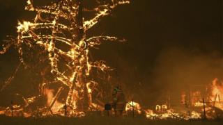 Bilpin fire, NSW