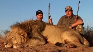 Два охотника за мертвым львом