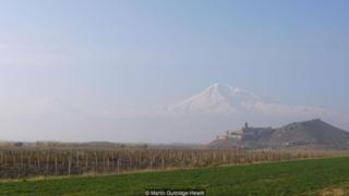 anggur armenia