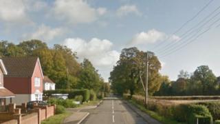 Lingfield Common Rod