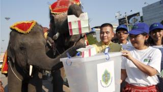 Thai election commission officials hold a ballot box as elephants demonstrate casting sample ballot