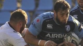 Zebre Gleision