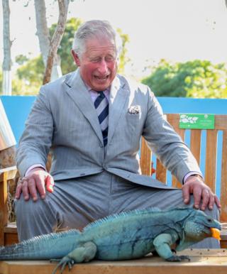 princ Čarls i iguana
