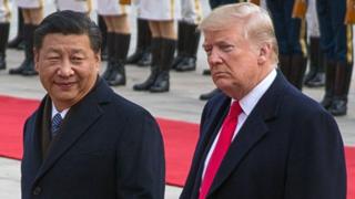 Trump and Xi walk together