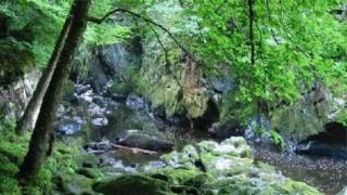 Afon