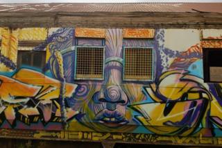 painting on train