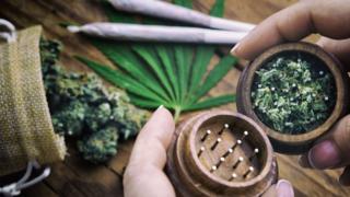 Marijuana buds grinder with hand rolled cannabis joints