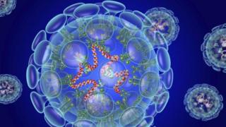 Coronovirus