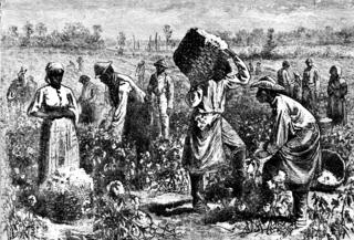 Slaves working on a plantation