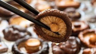 Jamur shitake