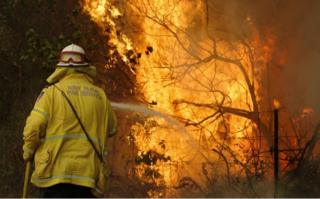 A firefighter works to contain a fire near Taree, New South Wales, Australia, 12 November 2019.
