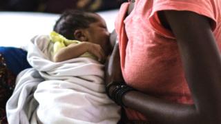 Afriikaa Bahaa fi Kibbaa keesssatti daa'imman kuma 48tu guyyaatti dhalatu