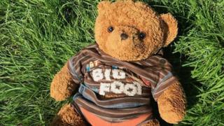 Cuddly toy
