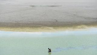 A fisherman tries to find fish in the shallow waters of the dried-out Puzhal reservoir on the outskirts of Chennai, June 2019